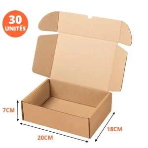Caisse en Carton pour Emballage E-commerce, Solide et Pratique pour Expédition