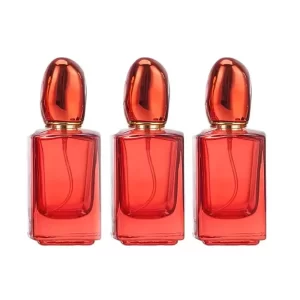 flacon-de-parfum-en-verre-carree-de-30-ml-luxe-avec-bouchon-spray (1)